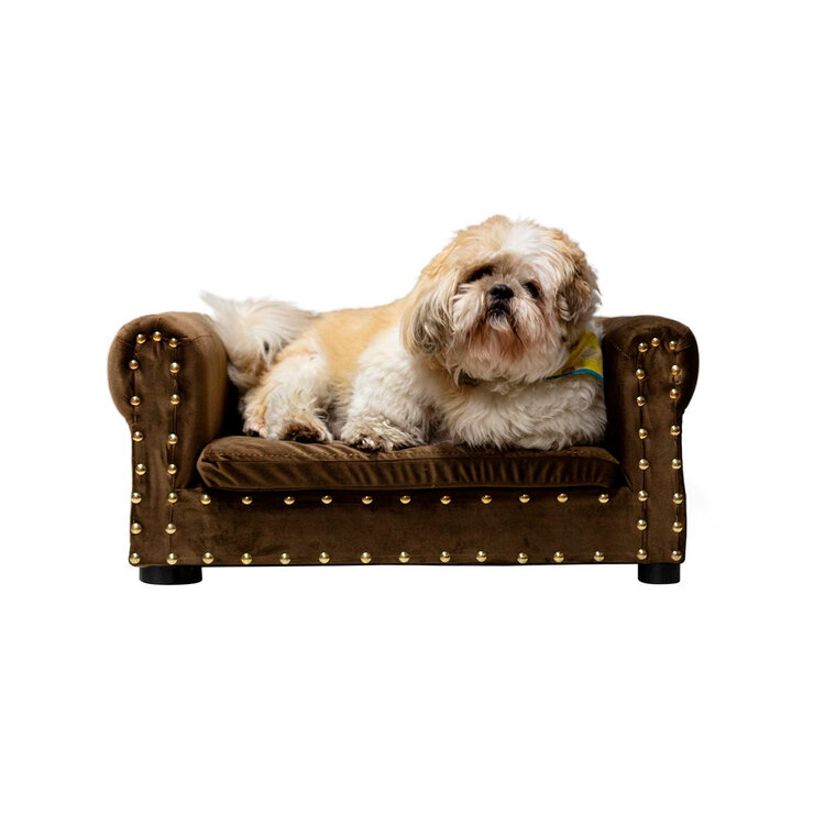 Maypet, Cama para Perro, Raza Pequeña , Diseño con Estoperoles, Terciopelo Color Café — Imagen 3 de 4