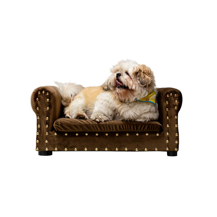 Maypet, Cama para Perro, Raza Pequeña , Diseño con Estoperoles, Terciopelo Color Café — Imagen 1 de 4