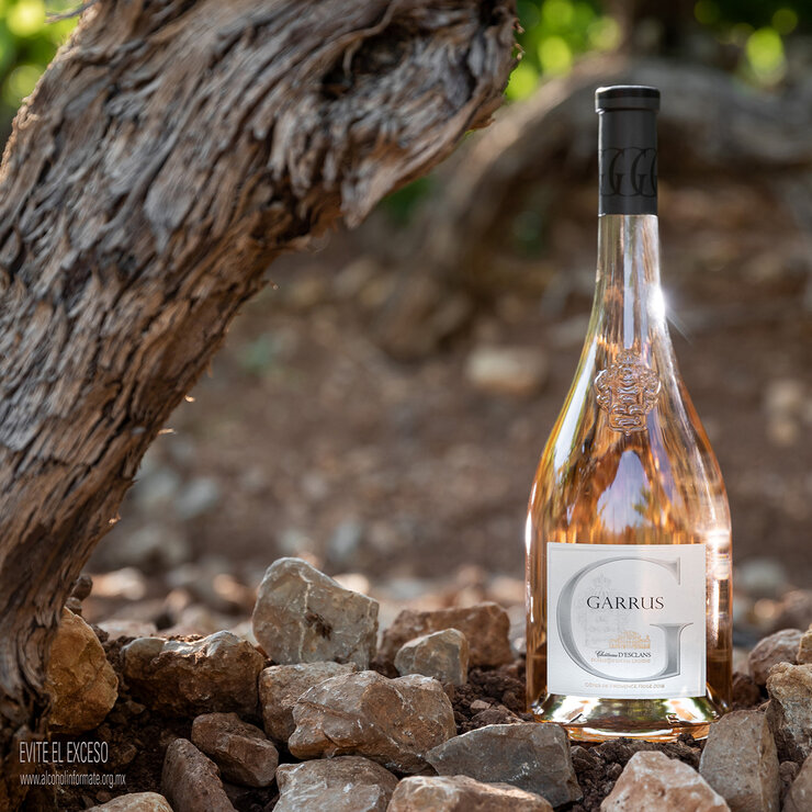 Vino Rosado Garrus 750ml — Imagen 3 de 3