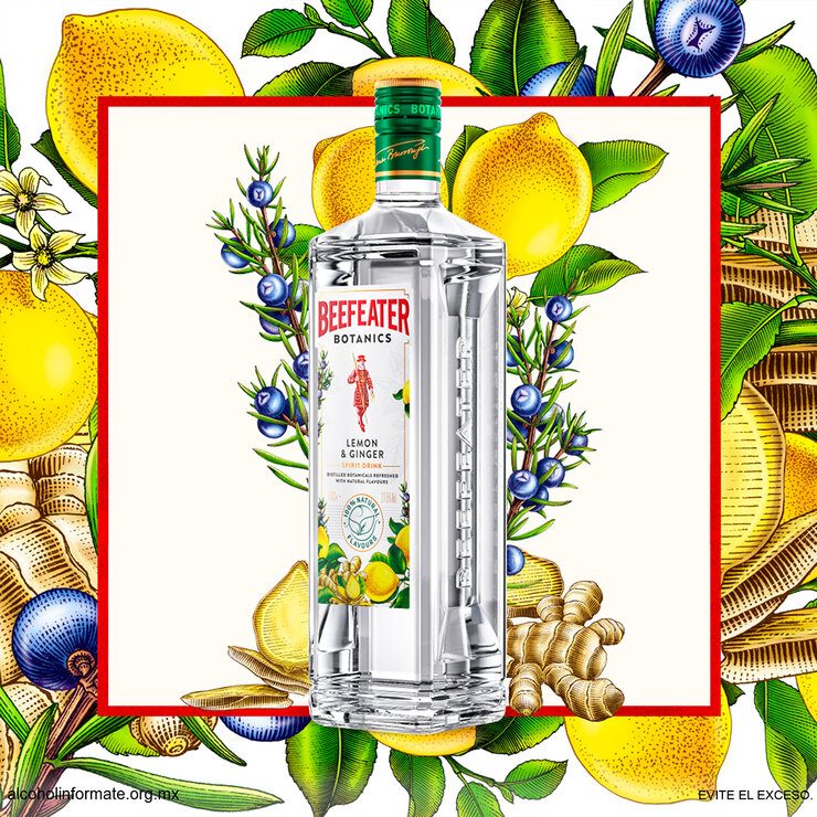 Ginebra Beefeater Botanics 700ml — Imagen 3 de 3
