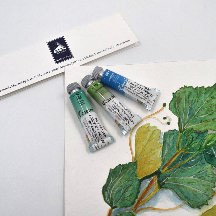 Maimeri Venezia Estuche de Acuarelas con 12 Tubos de 15ml  — Imagen 3 de 4