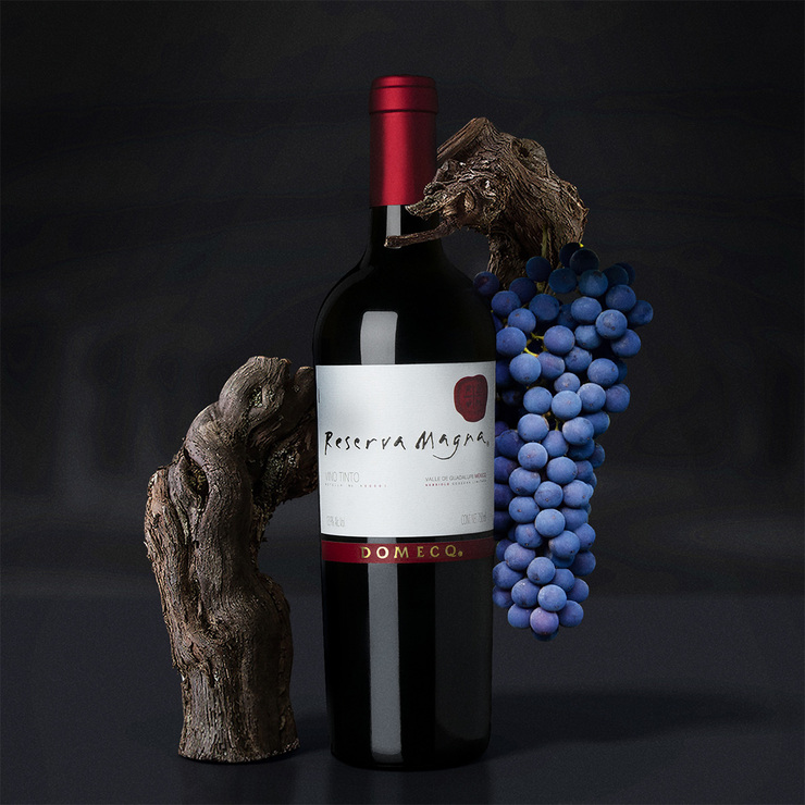Vino Tinto Reserva Magna Nebbiolo 750ml — Imagen 3 de 3
