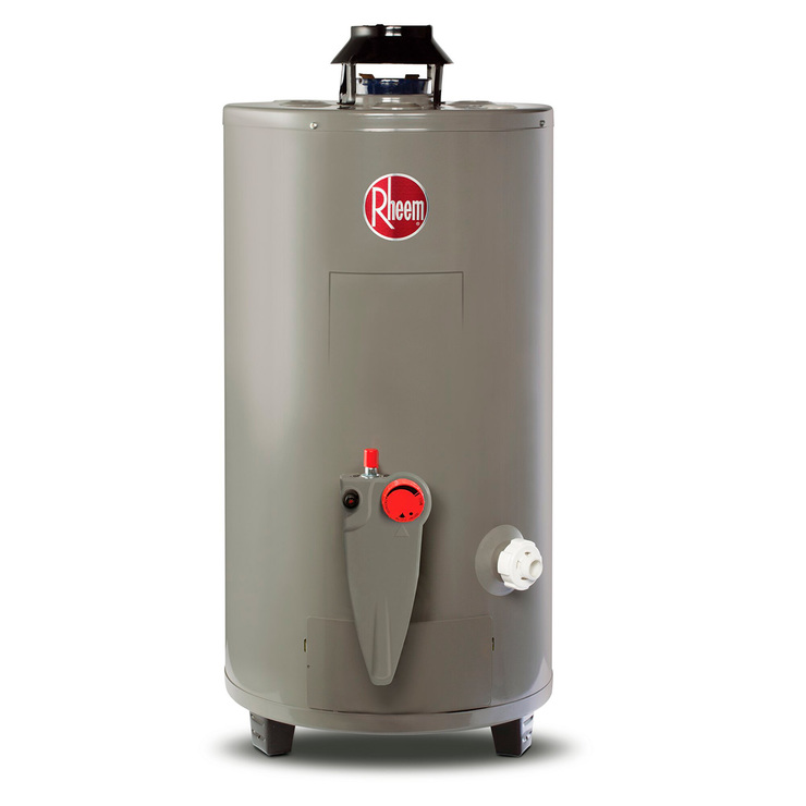 Rheem, Calentador de Agua de Alto Rendimiento Todo Terreno 10L/min  - Gas LP