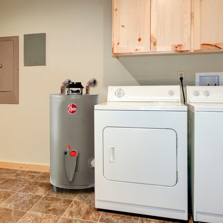 Rheem, Calentador de Agua de Alto Rendimiento Todo Terreno 10L/min  - Gas LP — Imagen 2 de 2