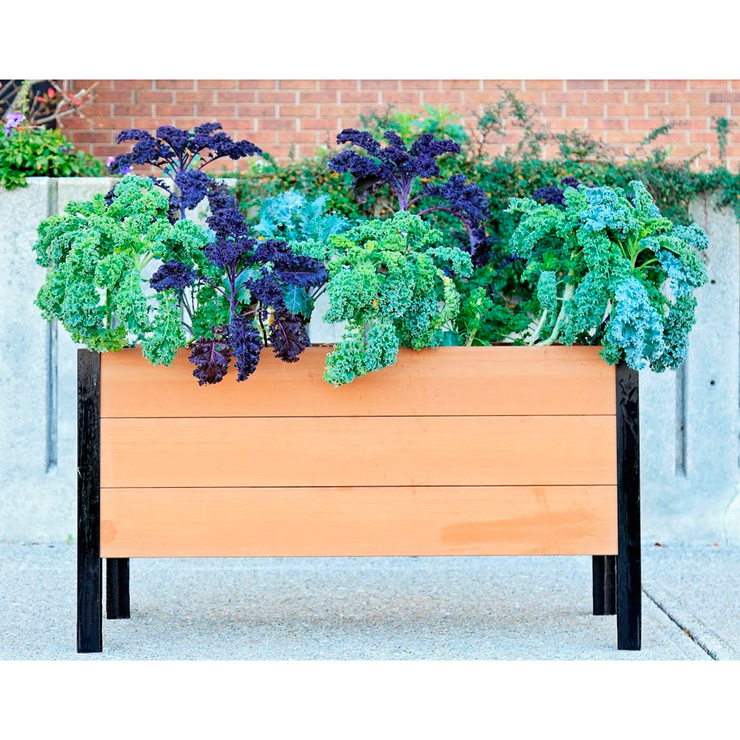 Greens Urban Garden huerto — Imagen 1 de 3