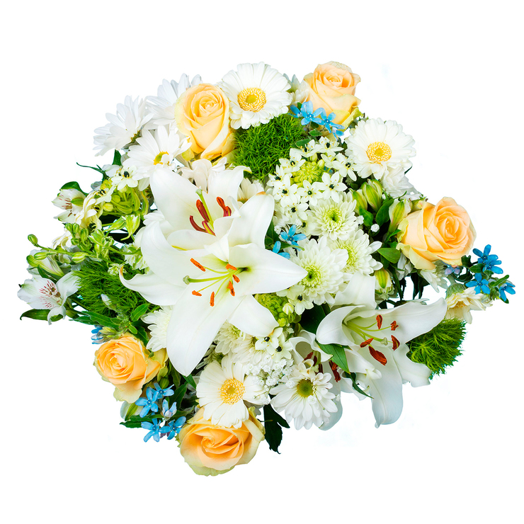Chiltepec, Bouquet Mixto en Tonos Blanco y Azul — Imagen 1 de 3