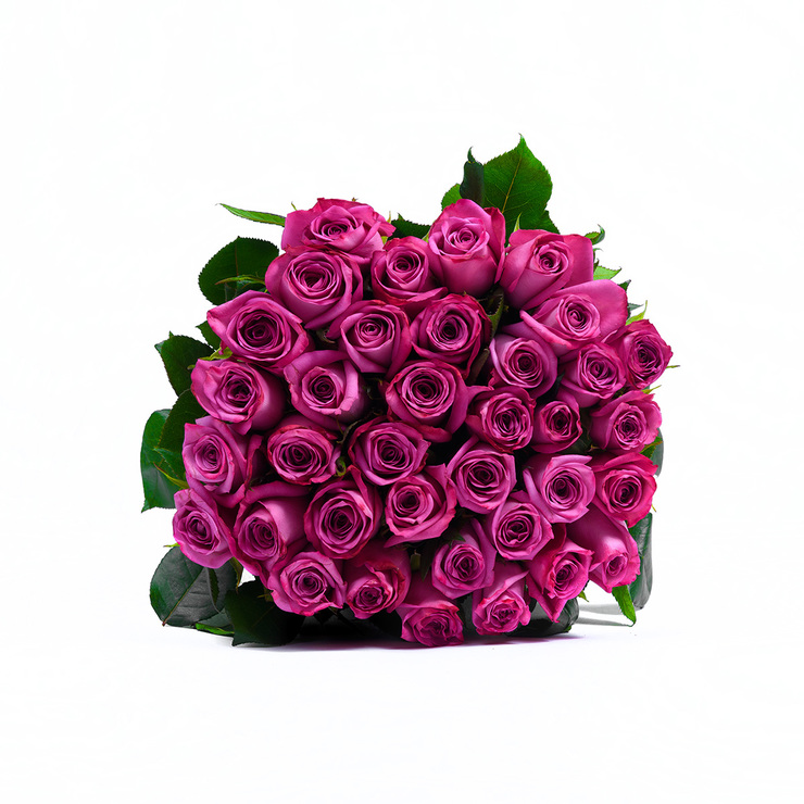 Chiltepec, Bouquet de 36 Rosas Lila — Imagen 1 de 3