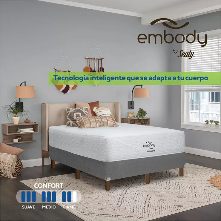 Sealy, Nebraska, colchón, queen size — Imagen 1 de 4