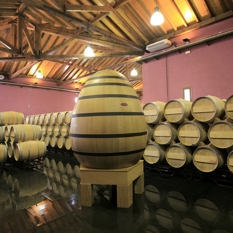 Vino Tinto Teso La Monja 750ml — Imagen 3 de 3