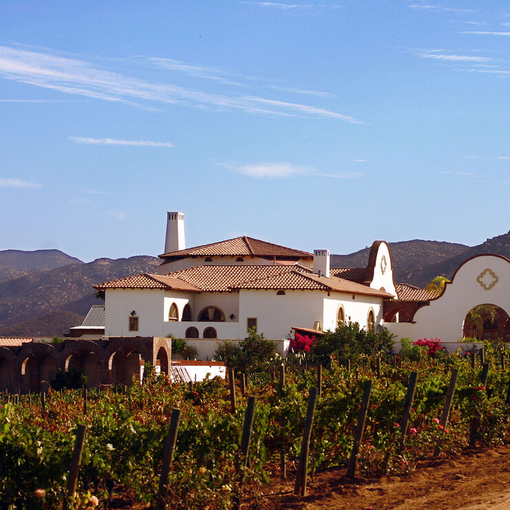 Vino Tinto Miguel Adobe Guadalupe 750ml — Imagen 2 de 3