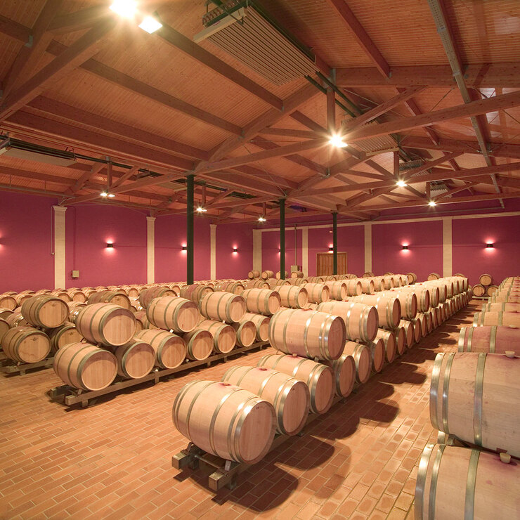 Vino Tinto Pico de Luyas 750ml — Imagen 2 de 3
