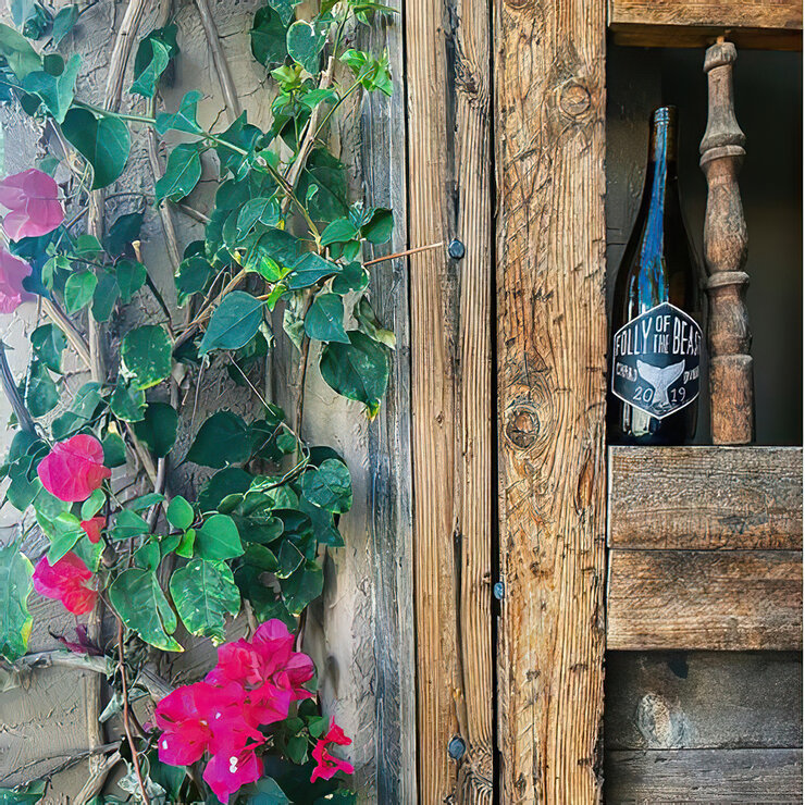 Vino Blanco Folly of the Beast 750ml — Imagen 3 de 4