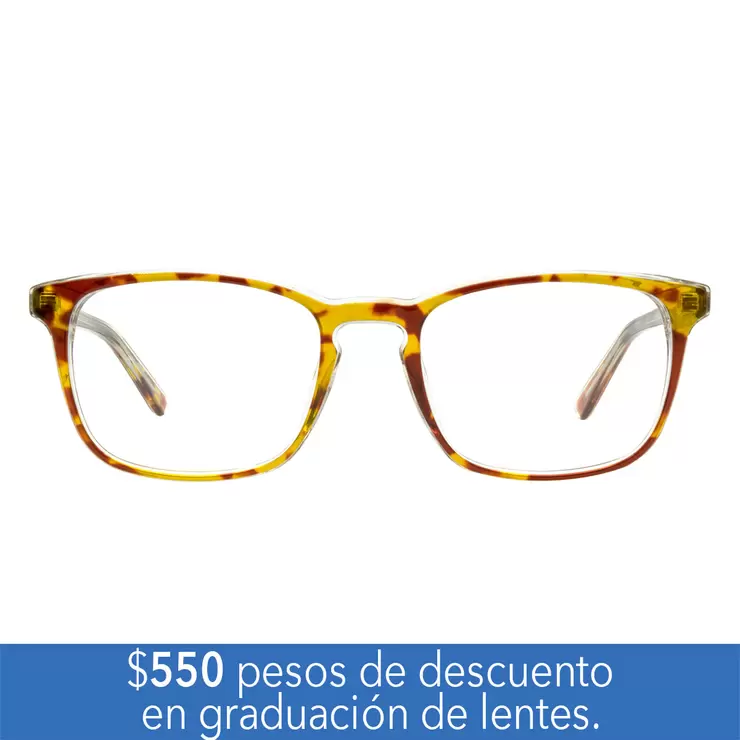 Perry Ellis PE 443-3 Armazón Oftálmico  — Imagen 1 de 4