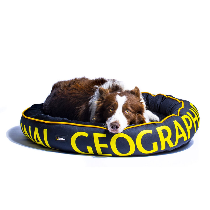National Geographic Apolo Cama para Perro Negra — Imagen 1 de 4
