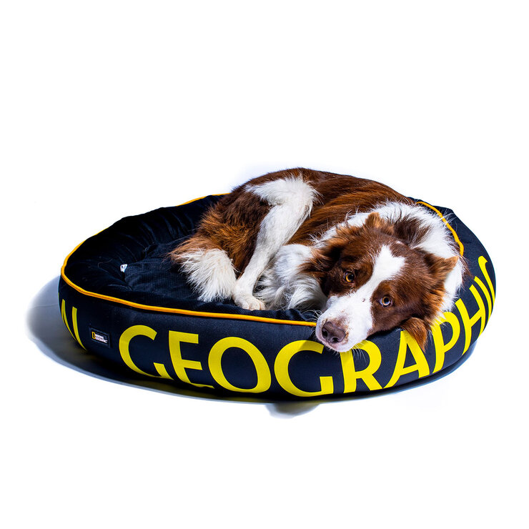 National Geographic Apolo Cama para Perro Negra — Imagen 2 de 4