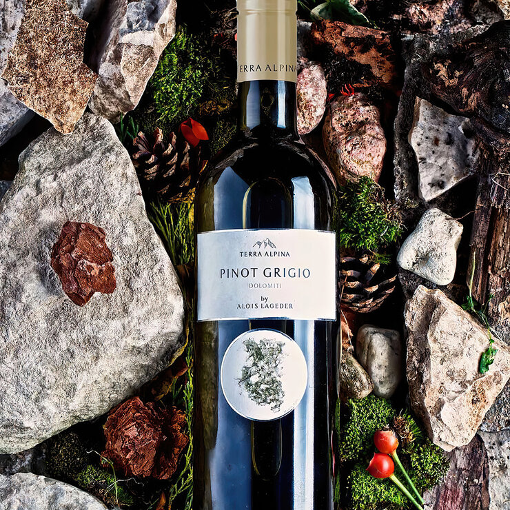 Vino Blanco Terra Alpina 750ml — Imagen 3 de 3