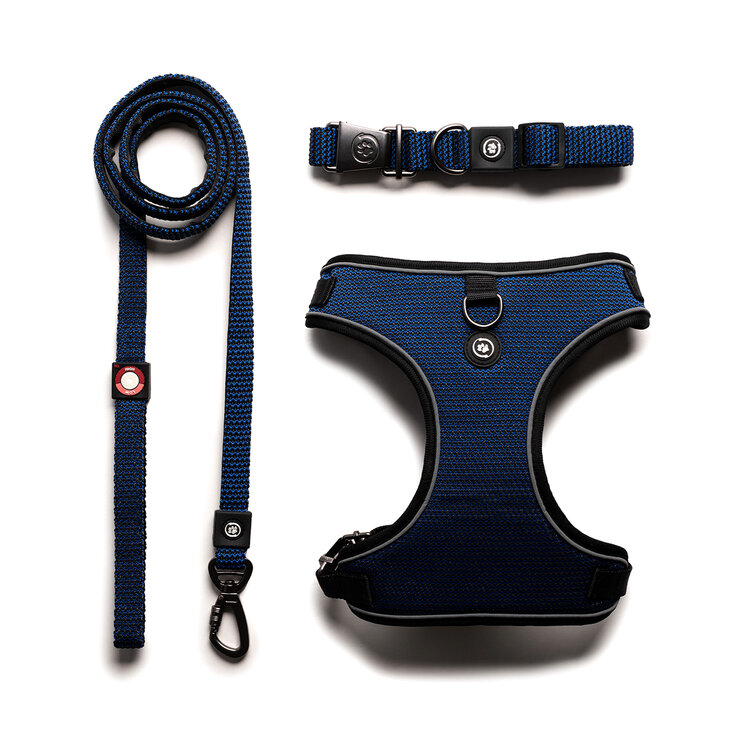 Silver Paw Collar, Arnes y Correa 3 pzas — Imagen 2 de 2