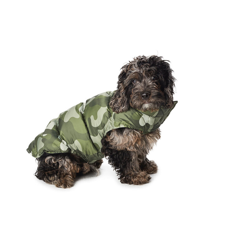 Hotel Doggy Chaleco para Perro 1 pza  — Imagen 4 de 4