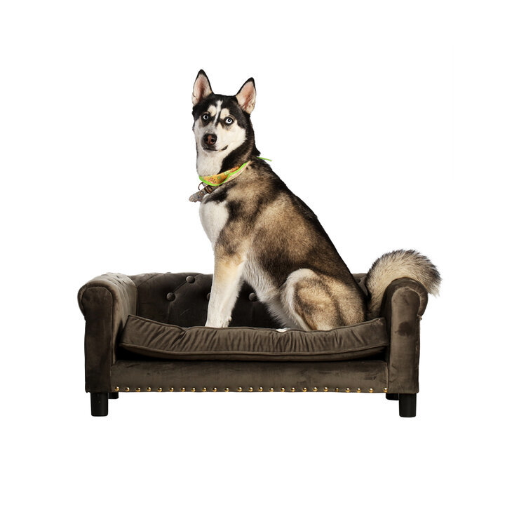 Maypet, Cama para Perro Capitonada, Tapizado con Terciopelo Color Gris. — Imagen 1 de 4