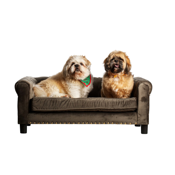 Maypet, Cama para Perro Capitonada, Tapizado con Terciopelo Color Gris. — Imagen 2 de 4