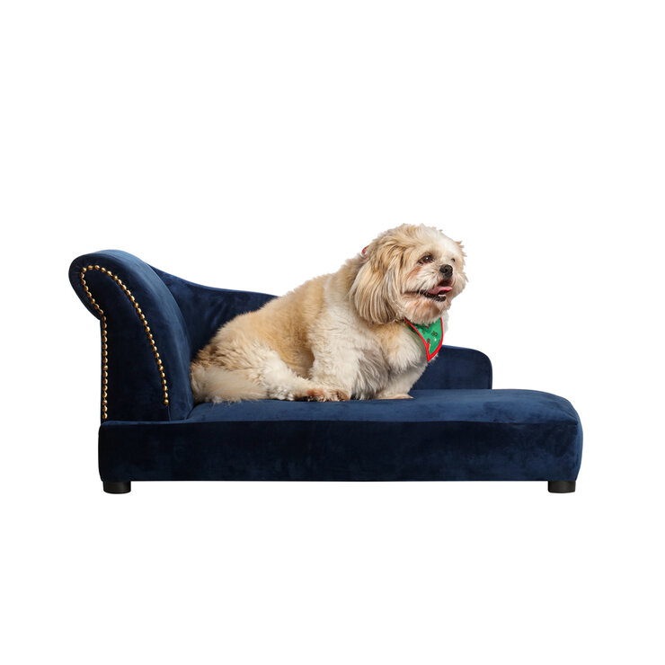 Maypet, Cama para Perro,  Modelo Cleopatra , Terciopelo Color Azul — Imagen 1 de 4