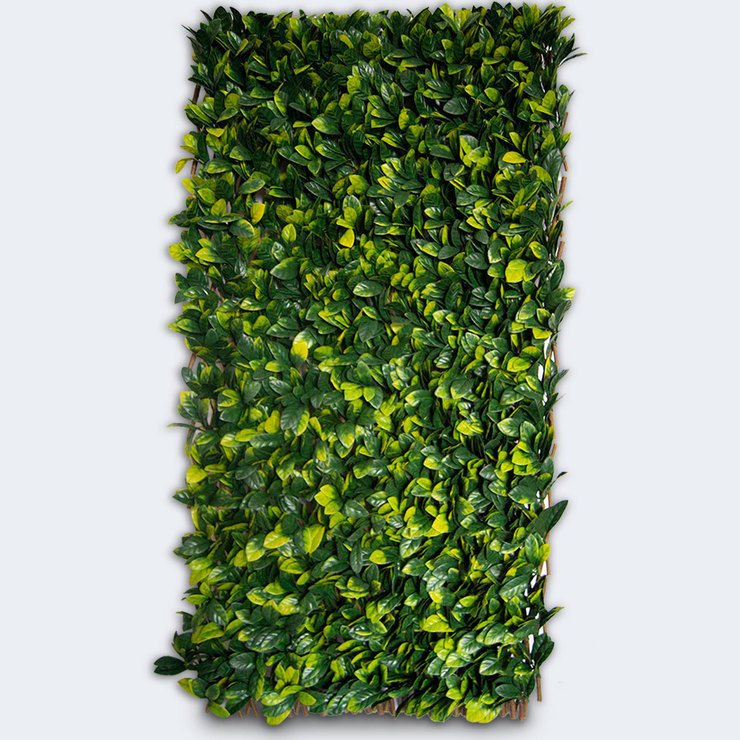 Green Smart, Follaje  Expandible Artificial 2m x 1m — Imagen 1 de 4