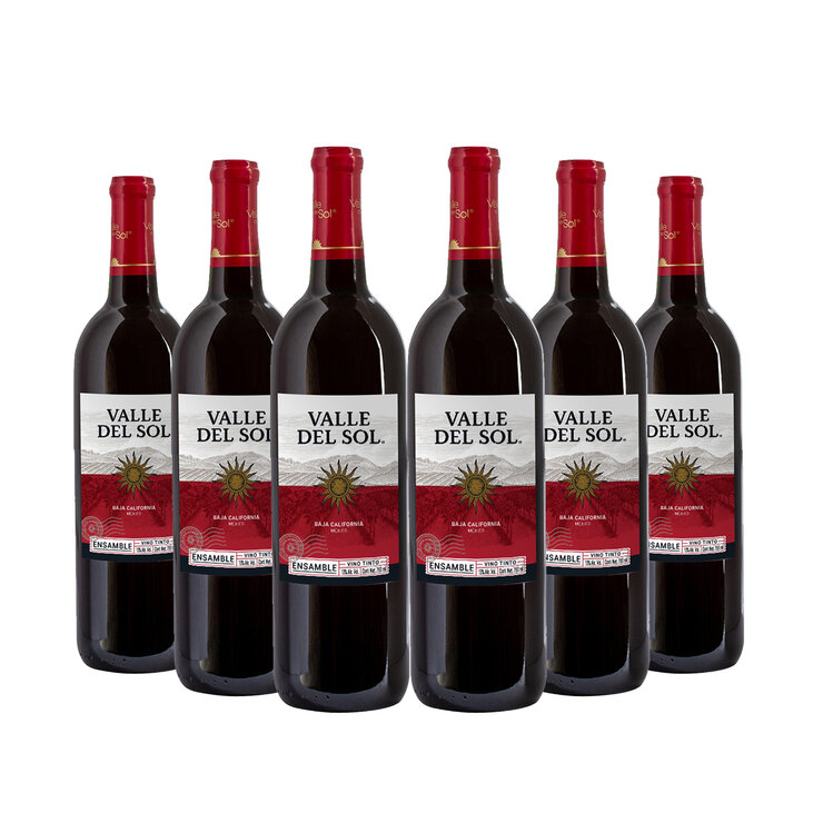 Vino Tinto Valle del Sol 6/750ml — Imagen 1 de 2