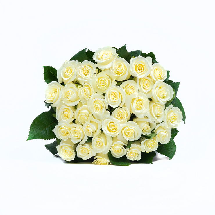 Chiltepec, Bouquet de 36 Rosas Blancas — Imagen 1 de 2