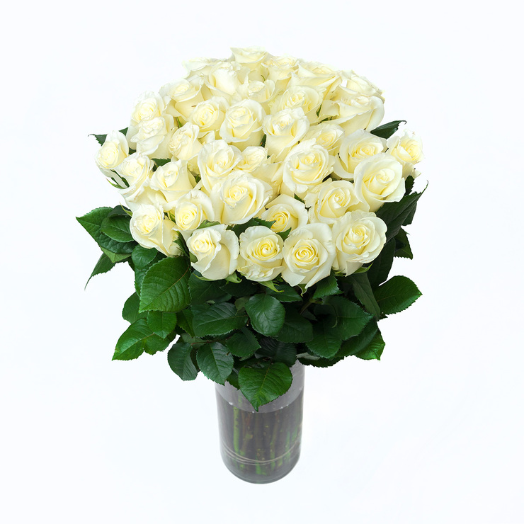 Chiltepec, Bouquet de 36 Rosas Blancas — Imagen 2 de 2