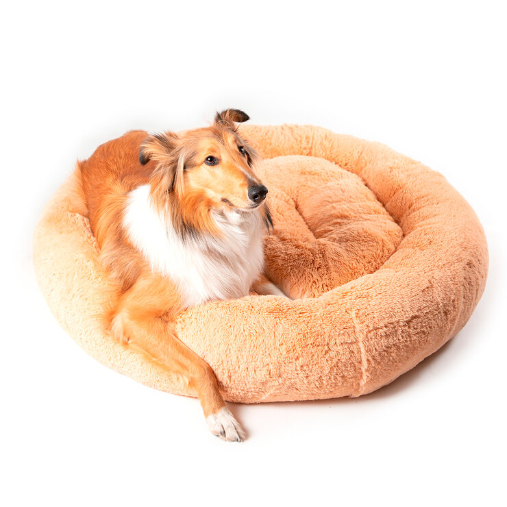 Bienestar Cama para Mascota 70 cm 1 pza — Imagen 1 de 4