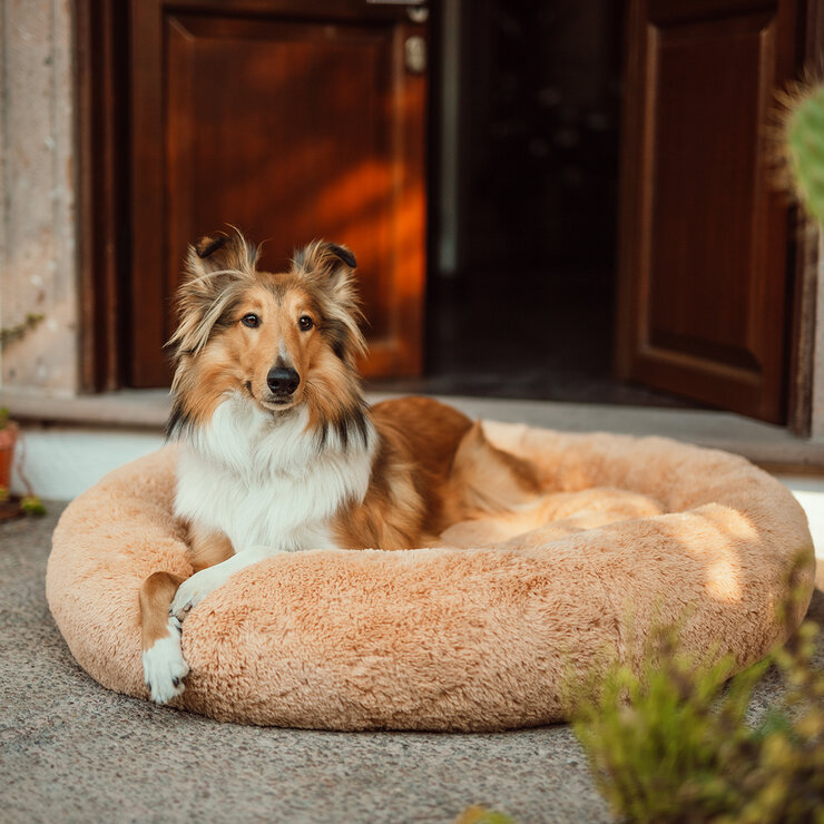Bienestar Cama para Mascota 70 cm 1 pza — Imagen 3 de 4