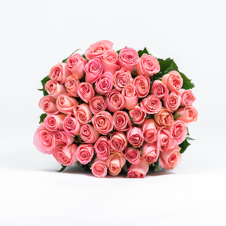 Chiltepec, Bouquet de 48 Rosas Color Rosa — Imagen 1 de 3
