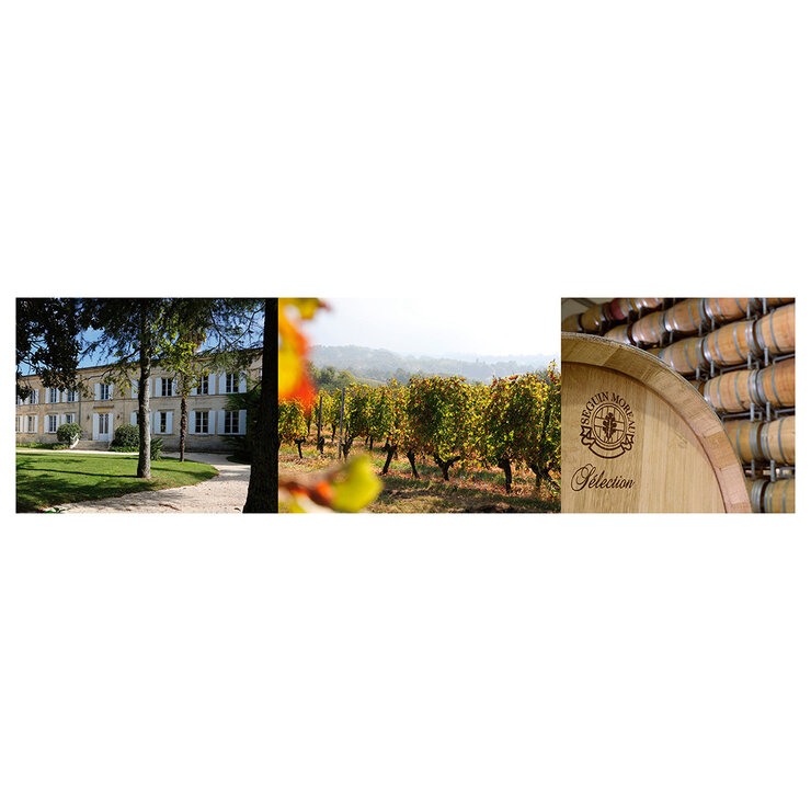 Vino Tinto Château de Marsan 2019 3L — Imagen 3 de 3