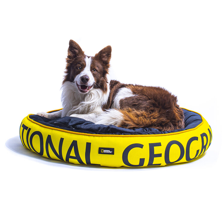 National Geographic Apolo Cama para Perro Amarilla — Imagen 1 de 4