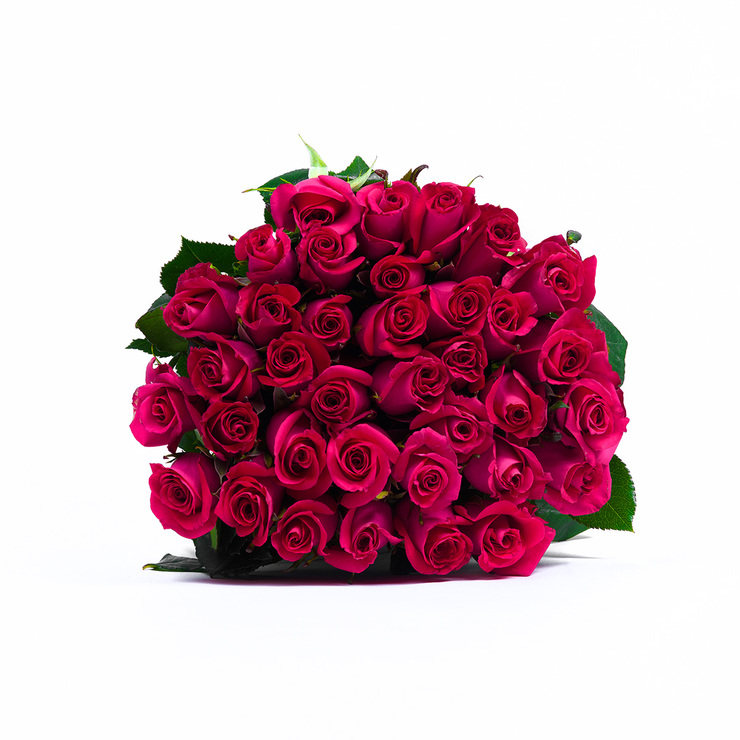 Chiltepec, Bouquet de 36 Rosas Color Fucsia — Imagen 3 de 3