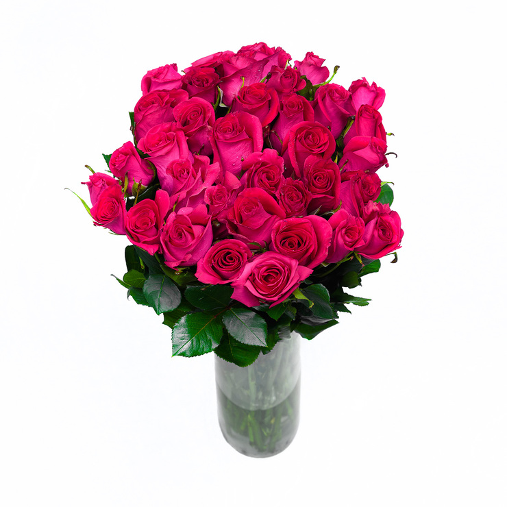 Chiltepec, Bouquet de 36 Rosas Color Fucsia — Imagen 1 de 3