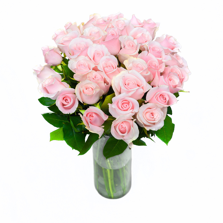 Chiltepec, Bouquet de 36 Rosas Color Rosa Claro — Imagen 2 de 3