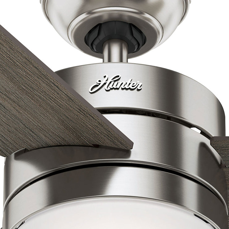 Hunter, Ventilador de Techo Exeter 54" — Imagen 2 de 4