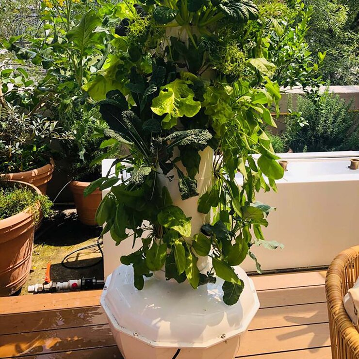 Granjas Verticales, Sistema Hidropónico , Modelo Compacta, para 32 Plantas — Imagen 2 de 3