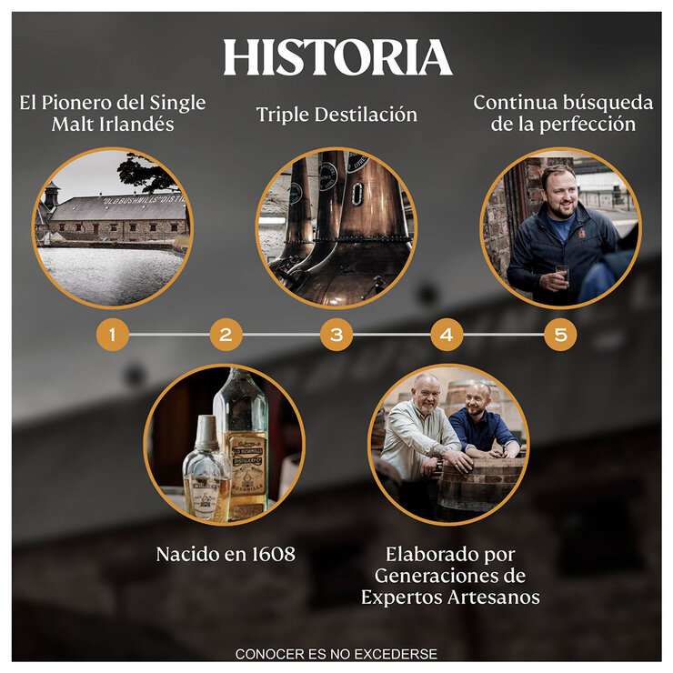 Whiskey Bushmills 10 años 750ml — Imagen 4 de 4