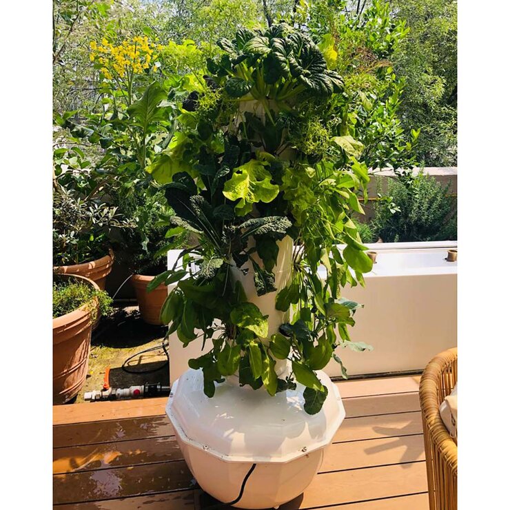 Granjas Verticales, Sistema Hidropónico , Modelo Compacta, para 32 Plantas — Imagen 3 de 3