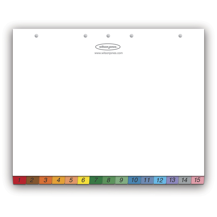 Wilson Jones Separadores con 15 Divisiones Formato Vertical u Horizontal 24 Cajas — Imagen 2 de 2