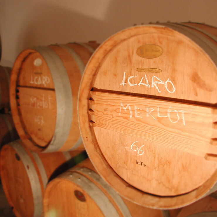 Vino Tinto Icaro 750ml — Imagen 3 de 3