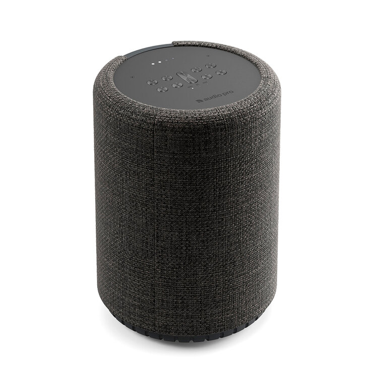 Audio Pro G10 Bocina Bluetooth con Google Assistant y Airplay 2 — Imagen 1 de 4