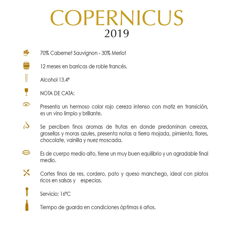 Vino Tinto Copernicus 750ml — Imagen 4 de 4