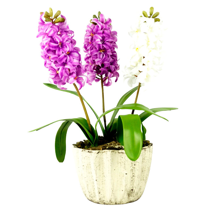 Zazh Arreglos Florales, Varios Modelos y Colores — Imagen 1 de 4
