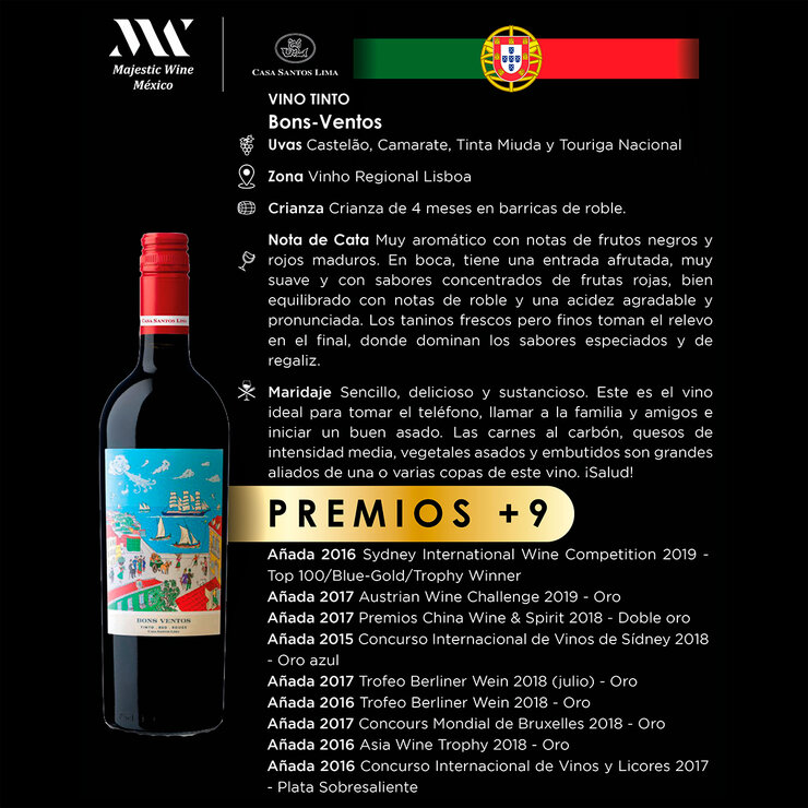 Vino Tinto Bons Ventos 750ml — Imagen 2 de 3