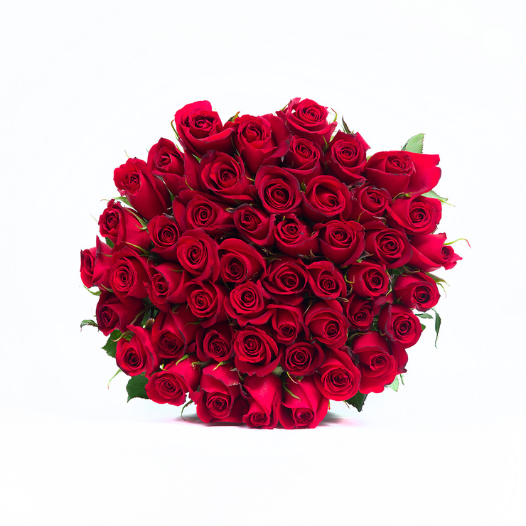 Chiltepec, Bouquet de 48 Rosas Color Rojo — Imagen 1 de 3
