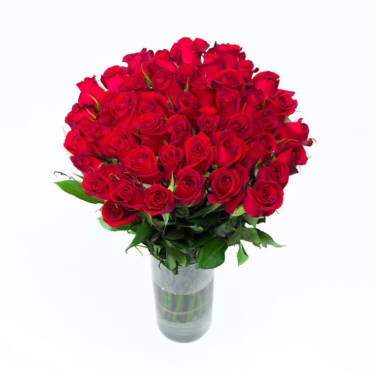 Chiltepec, Bouquet de 48 Rosas Color Rojo — Imagen 3 de 3