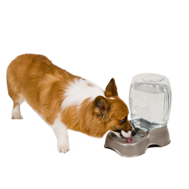 Petmate Despachador de Alimento y Agua para Mascotas — Imagen 2 de 4
